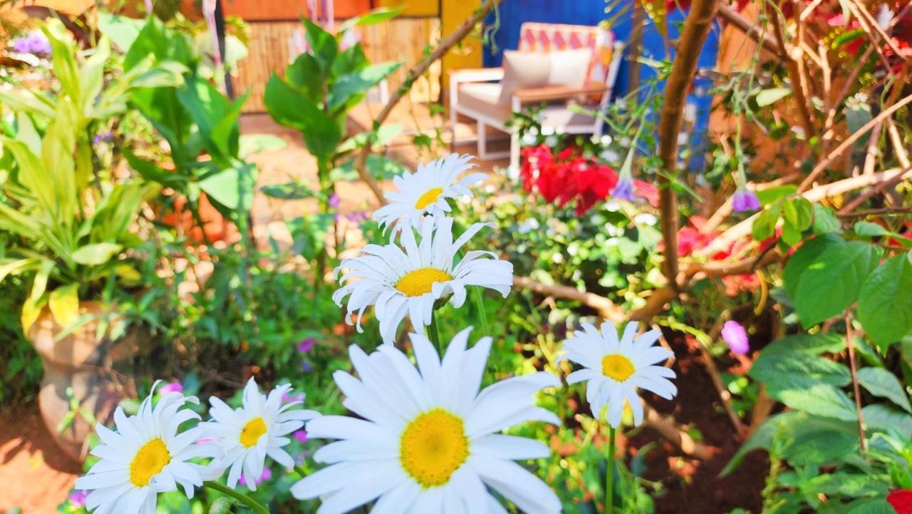 Yambi Guesthouse Kigali Bagian luar foto